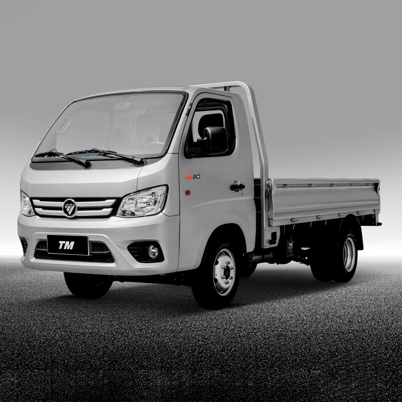 Foton Truck Mate II 