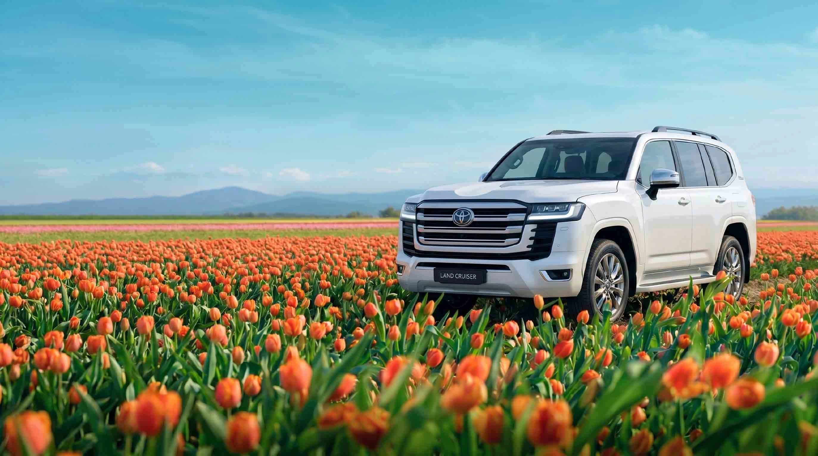 Спецпредложение на автомобили Toyota: ставка: 0,1%; срок: 6 или 13 месяцев