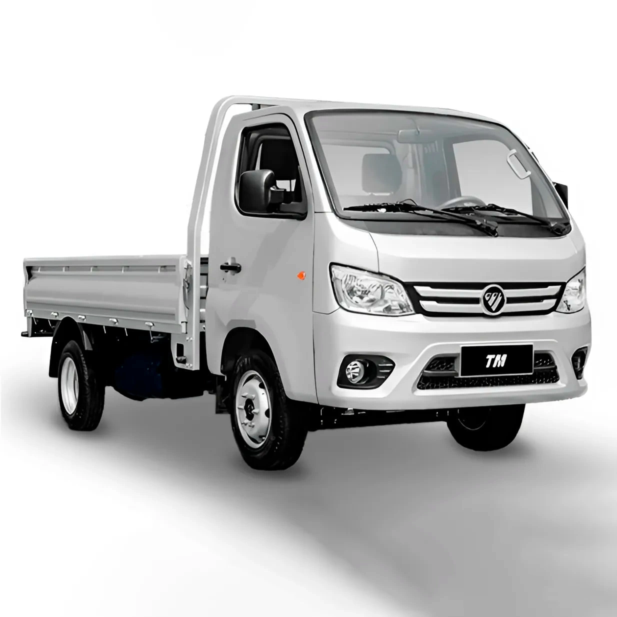 Foton Truck Mate I